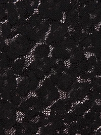 Anise Fitted Lace Long-Sleeve Top