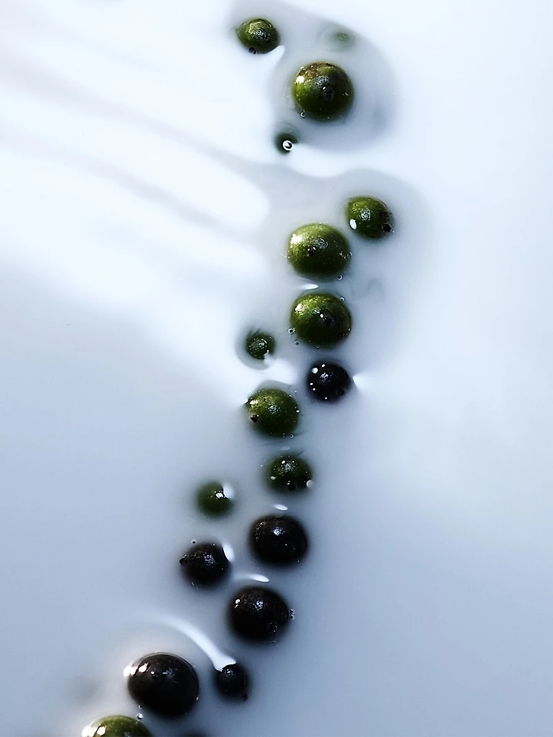 Blanche Absolu Eau de Parfum