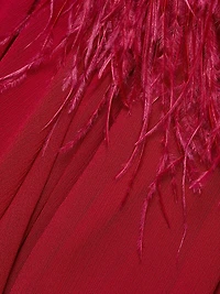 Geisha V-Neck Feather Gown