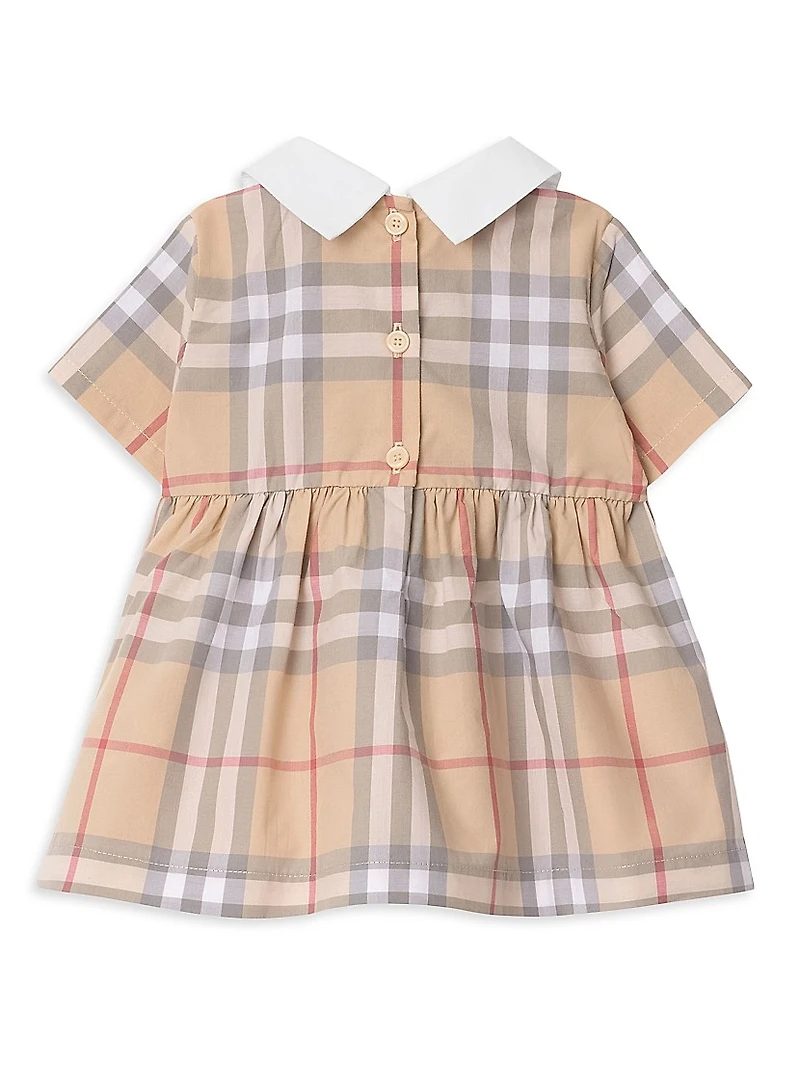 Baby Girl's Check Cotton Poplin Dress & Bloomers