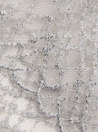 A Pois Embroidered Cheeky Brief