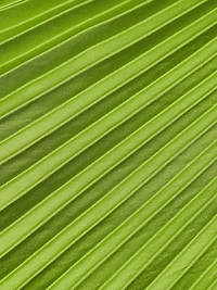 Moira Pleated Satin Gown