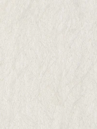 Zaro Short-Sleeve Textured Top