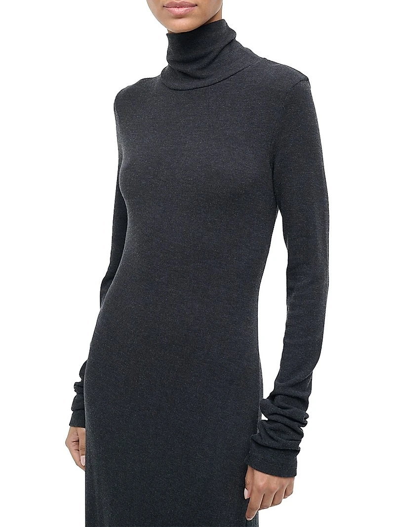 Vanya Knit Turtleneck Maxi Dress