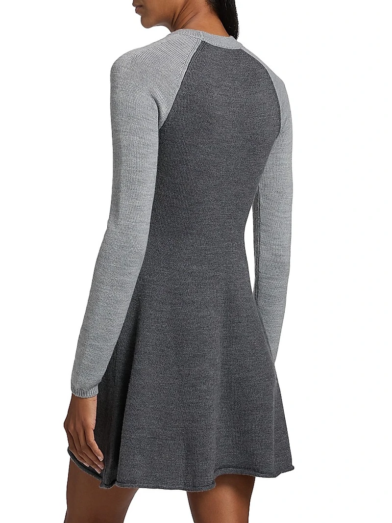 Anita Long-Sleeve Fit & Flare Minidress