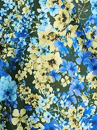 Frances Floral Sleeveless Shift Minidress