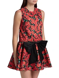 Nellie Floral A-Line Minidress