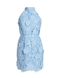 Olivia Rose Trellis Lace Minidress