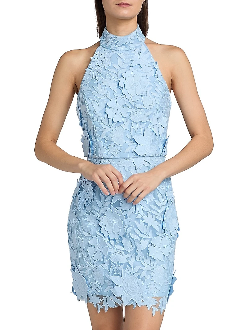 Olivia Rose Trellis Lace Minidress