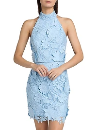 Olivia Rose Trellis Lace Minidress