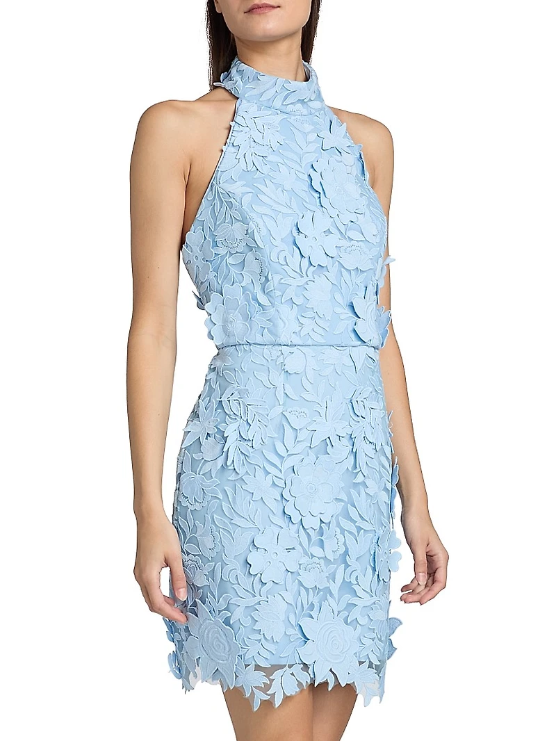 Olivia Rose Trellis Lace Minidress