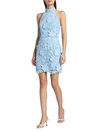 Olivia Rose Trellis Lace Minidress