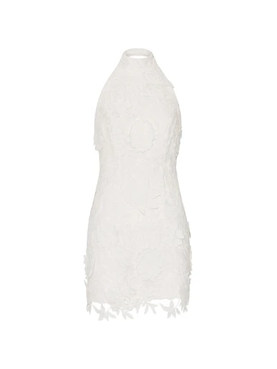 Olivia Rose Trellis Lace Minidress