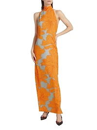 Montana Floral Turtleneck Maxi Dress