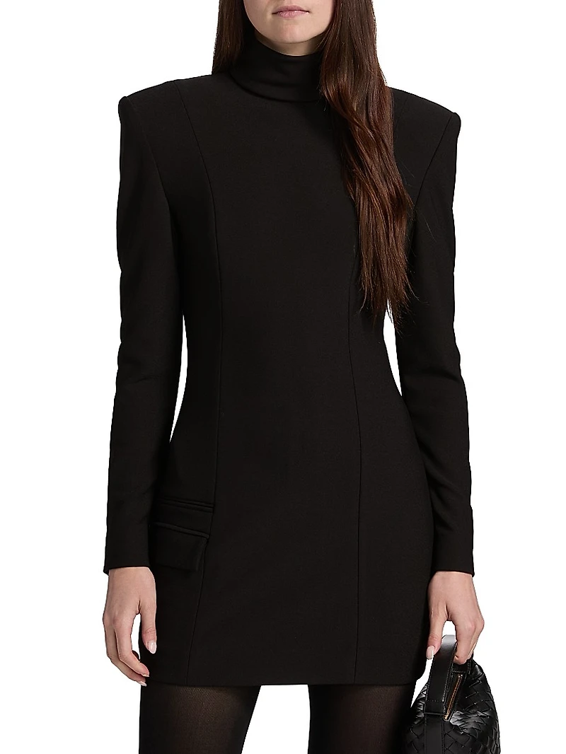 Iris Turtleneck Minidress