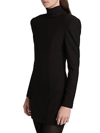 Iris Turtleneck Minidress