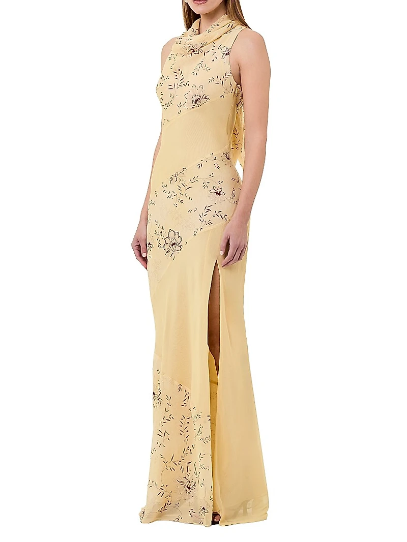 Shana Cowlneck Maxi Dress