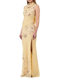Shana Cowlneck Maxi Dress