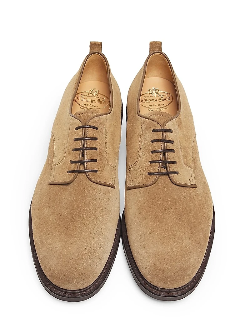 Pentire Suede Derbys