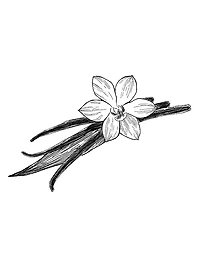 Decision Eau de Parfum