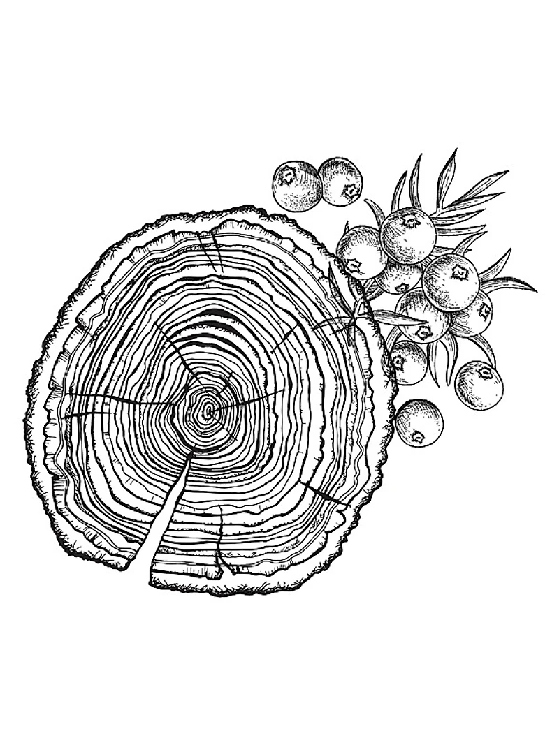 Decision Eau de Parfum