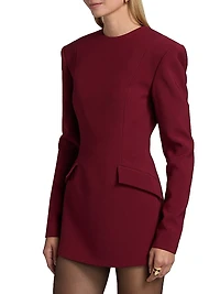 Alana Long-Sleeve Sheath Minidress