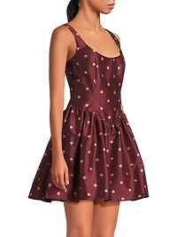 Soleil Polka Dot Minidress