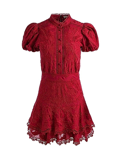 Loryn Embroidered Lace Minidress
