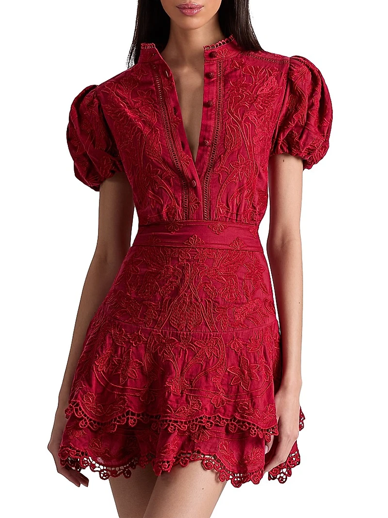 Loryn Embroidered Lace Minidress