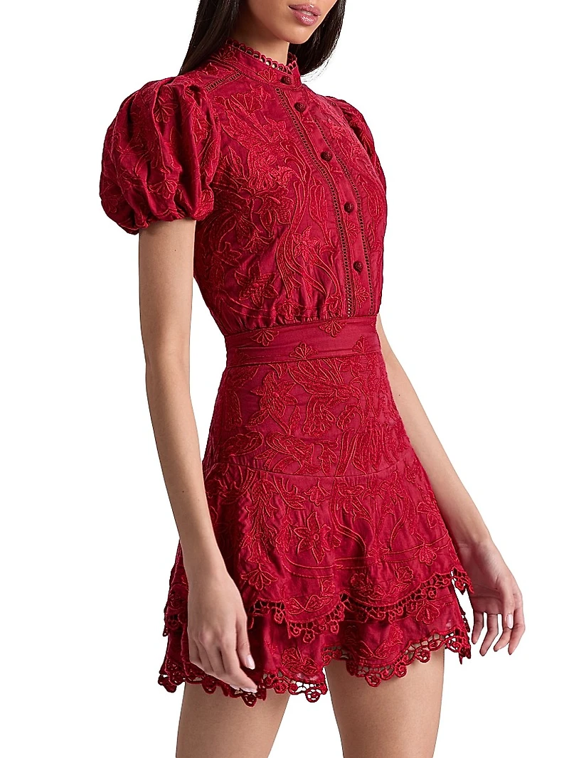 Loryn Embroidered Lace Minidress