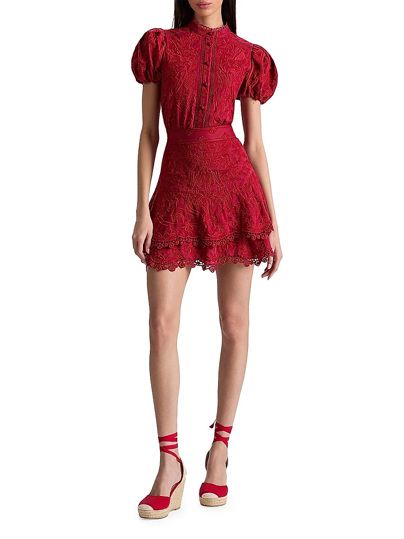 Loryn Embroidered Lace Minidress