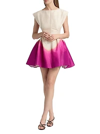 Emery Ombré Satin Minidress