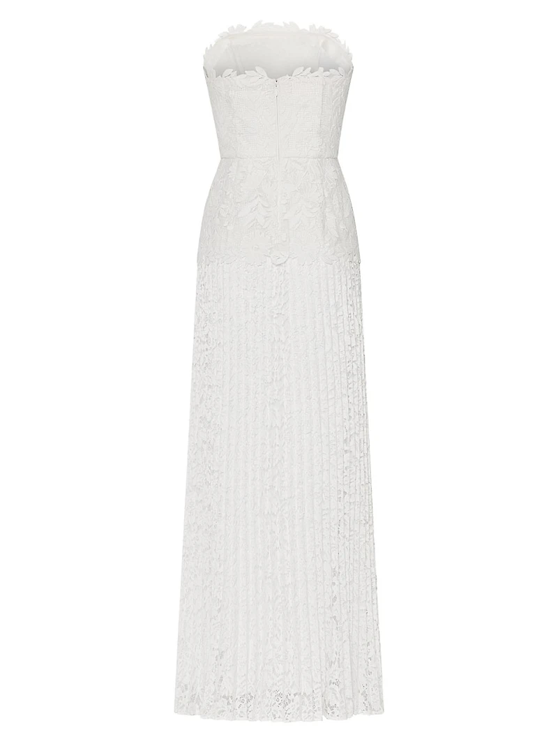 Norelle Mixed-Lace Pleated Maxi Dress