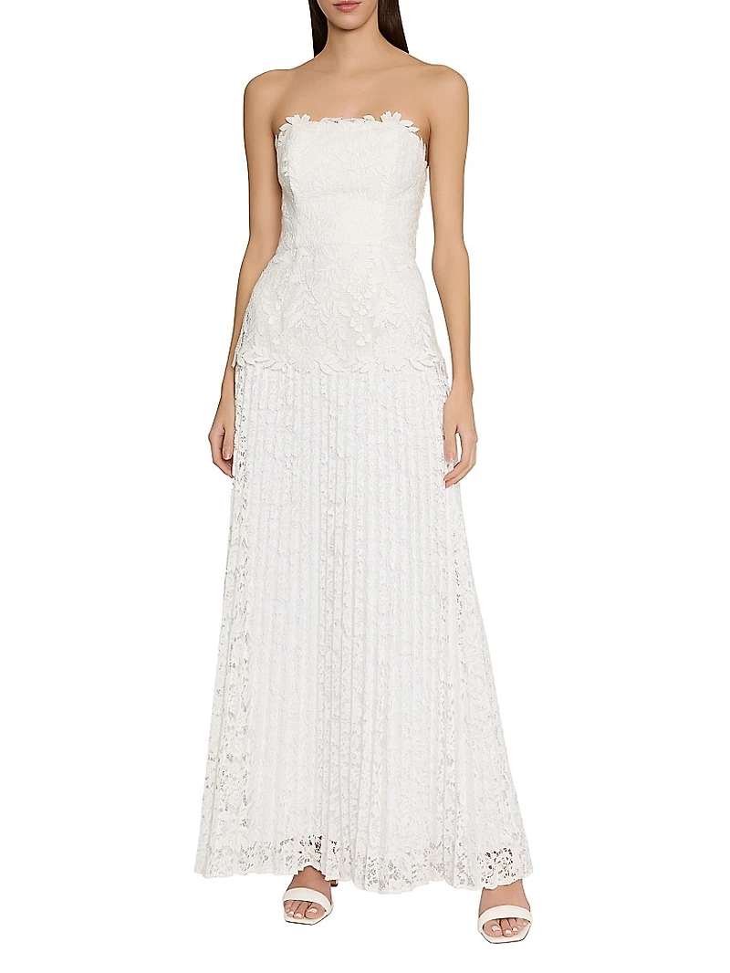 Norelle Mixed-Lace Pleated Maxi Dress