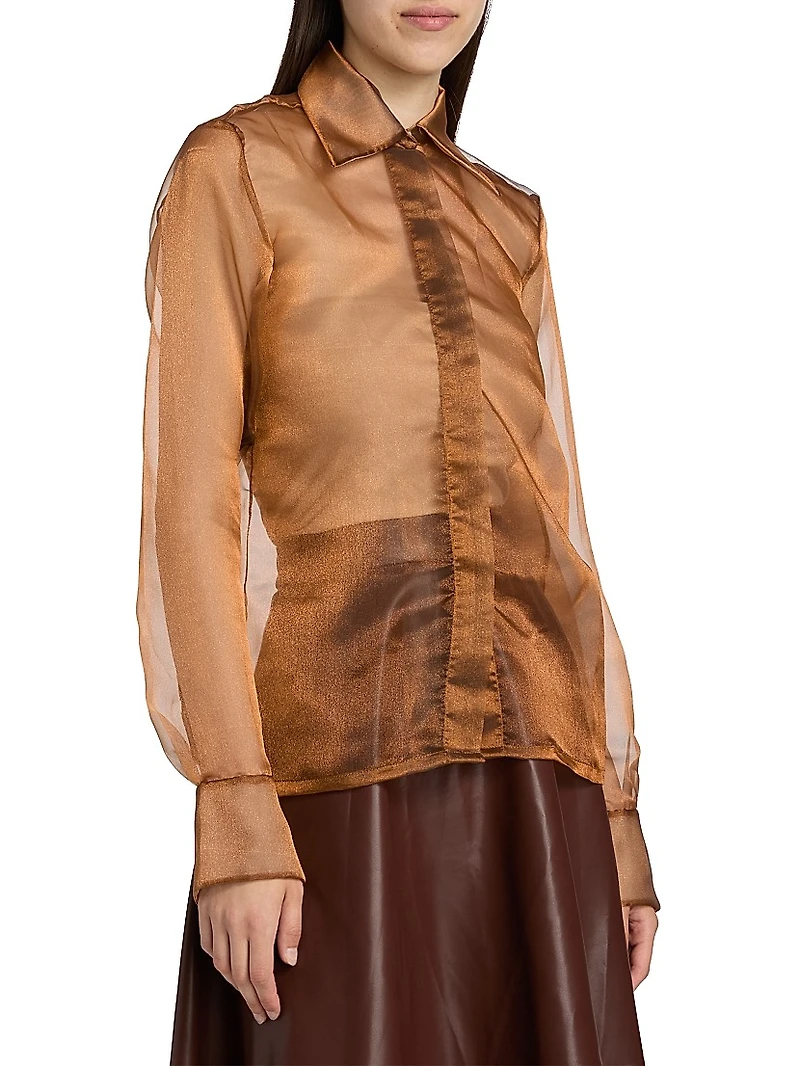 Athenea Sheer Blouse