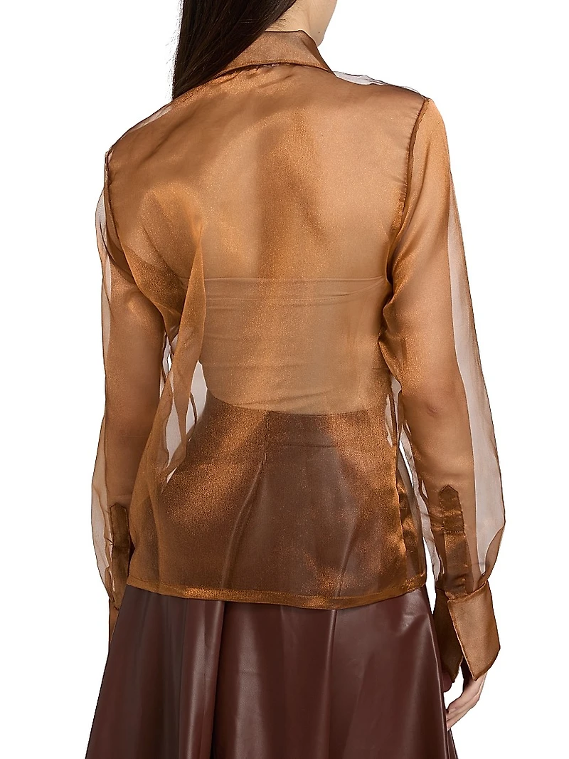 Athenea Sheer Blouse