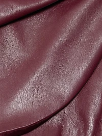 Shyann Faux Leather Mini Wrap Skirt