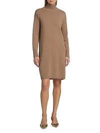 Turtlneck Wool-Blend Sweaterdress