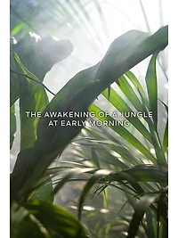 Vétiver Fauve Eau De Parfum