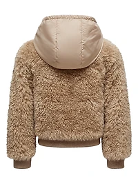 Little Girl's & Hoodie Teddy