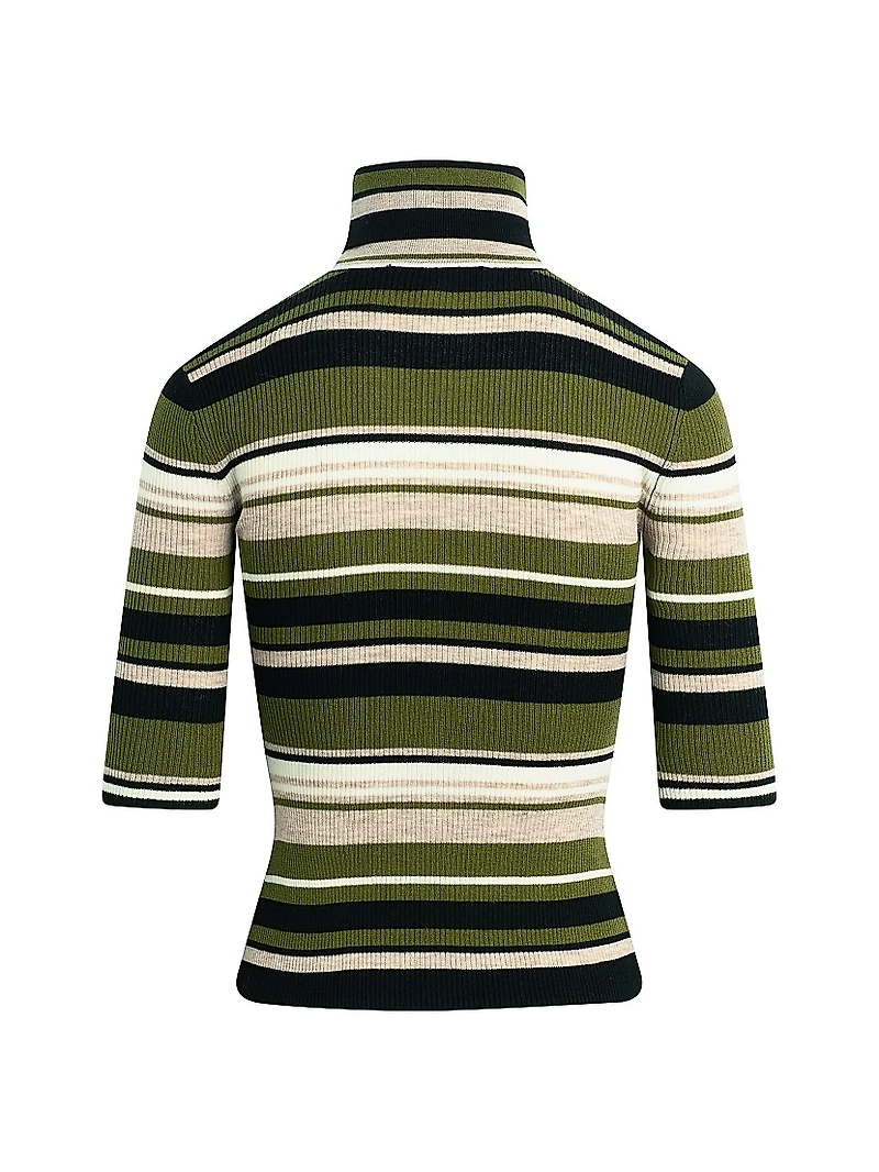 The Amelia Striped Wool Turtleneck Sweater