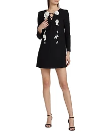 Floral-Embroidered Lace-Up Day Minidress