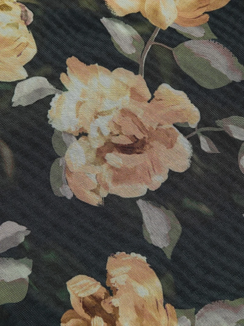 The Sheer Fantasy Floral Mesh Maxi Dress
