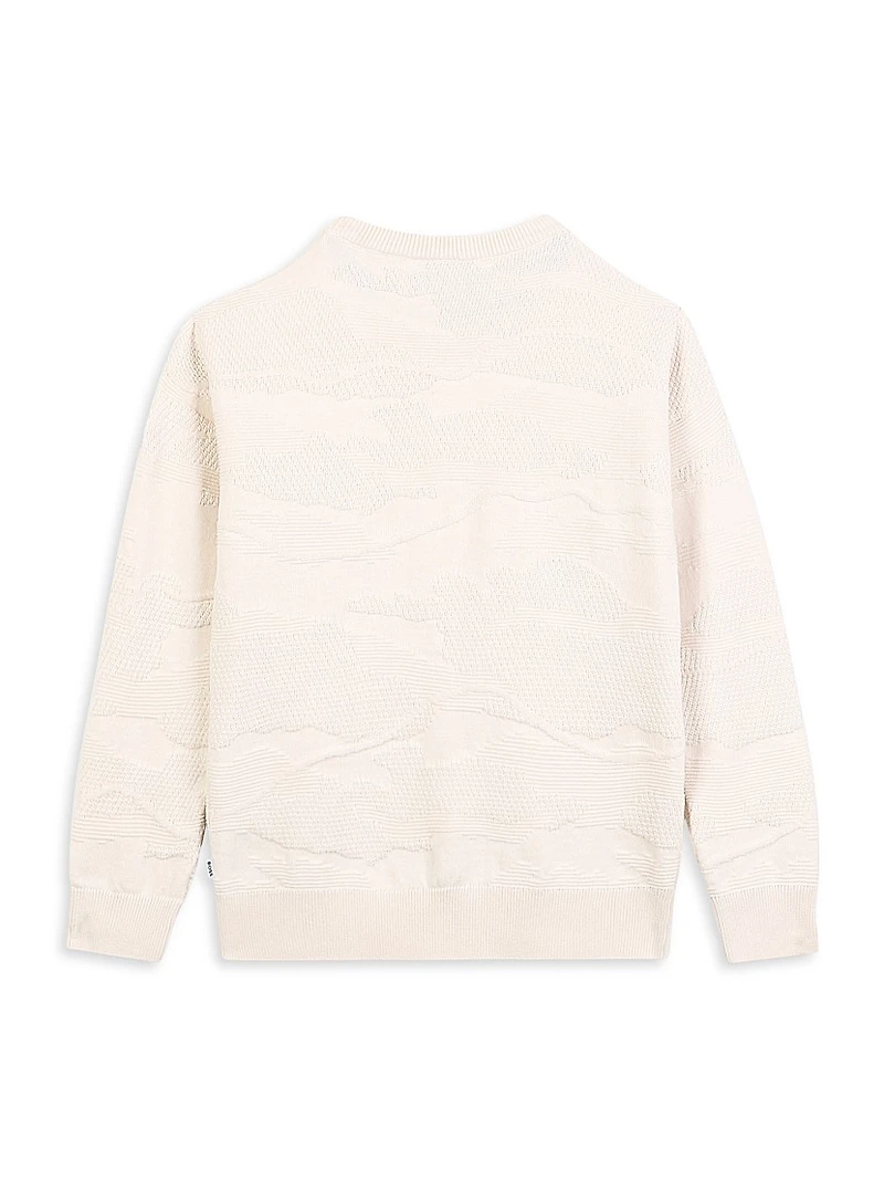 Little Boy's Jacquard Crewneck Sweater