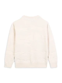Little Boy's Jacquard Crewneck Sweater