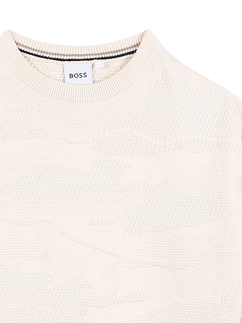 Little Boy's Jacquard Crewneck Sweater