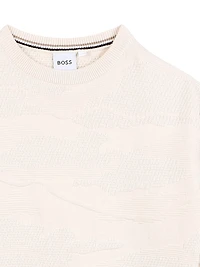 Little Boy's Jacquard Crewneck Sweater