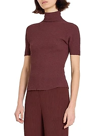 Turtleneck Knit Top