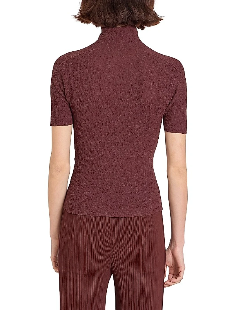 Turtleneck Knit Top