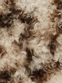 Irina Reversible Short Shearling Coat